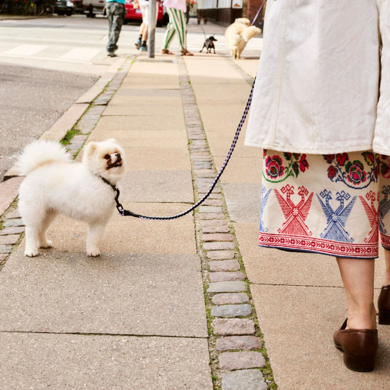 Braided Dog Leash - Lavender/Green