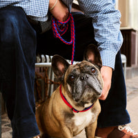 Braided Dog Leash - Red/Blue