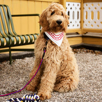 Braided Dog Leash - Red/Blue