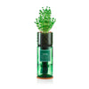 Hydro-Herb - Thyme Herb Kit
