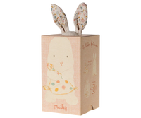 Lullaby friends Bunny Nature