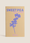 Sweet Pea ‘Prince of Orange’ Seeds