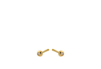 Astra Earsticks - Gold Plated