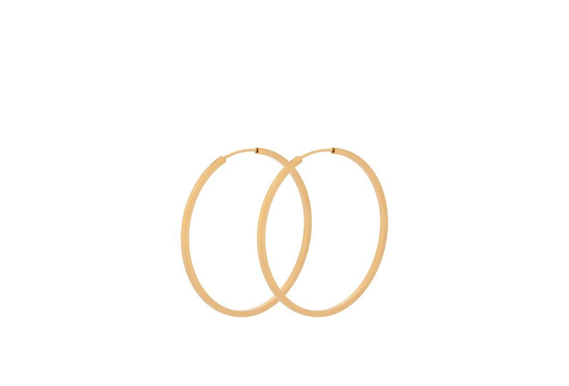 Small Orbit Hoops - Gold Plated