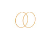 Orbit Hoops - Gold