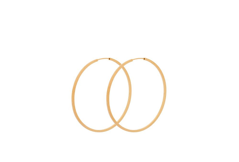 Orbit Hoops - Gold Plated