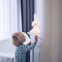 First Light - Miffy