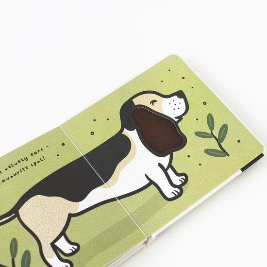 Touch and Feel Book - Ears