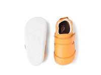 XP Go - Apricot Crush