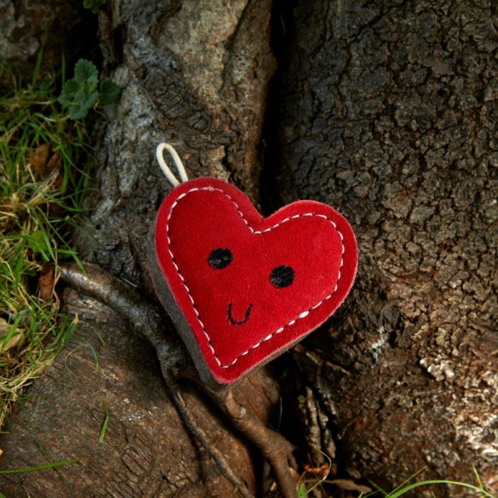 Eco Toy - Trudy True Love