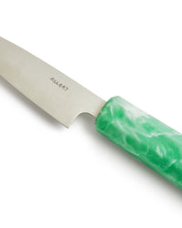 Stainless Steel Petty Knife