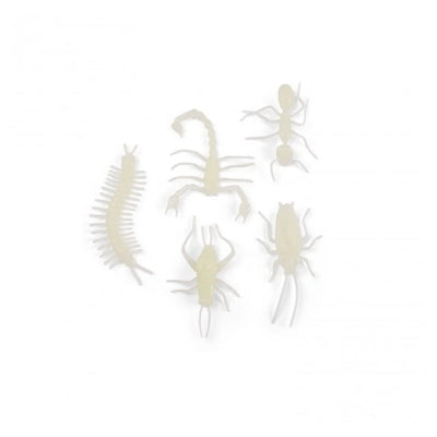 5 Glow in the Dark Insects - Les Petites Insectes Phosphorescents