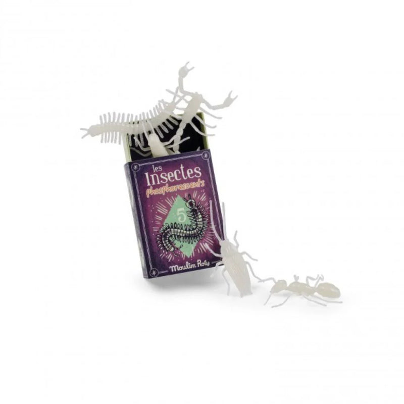 5 Glow in the Dark Insects - Les Petites Insectes Phosphorescents