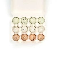 12 Chocolate Nightingale Eggs