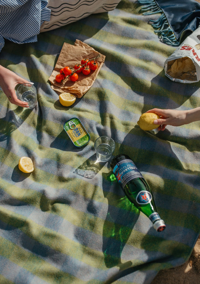 Recycled Wool Picnic Blanket - Green Gingham