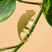 Plant Animal Houseplant Decoration - Chameleon