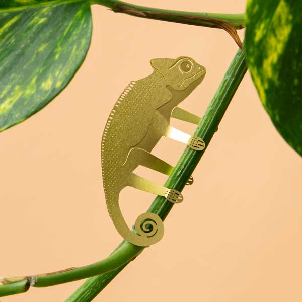 Plant Animal Houseplant Decoration - Chameleon