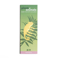 Plant Animal Houseplant Decoration - Chameleon