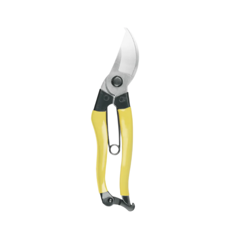 Mainichi Secateurs