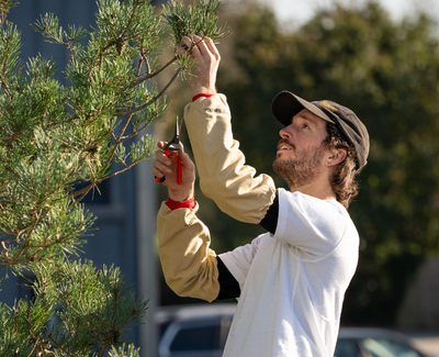 Arm Covers (One Size) - Tan