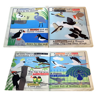 Crinkly Cloth Newspaper - All Sorts of Birds