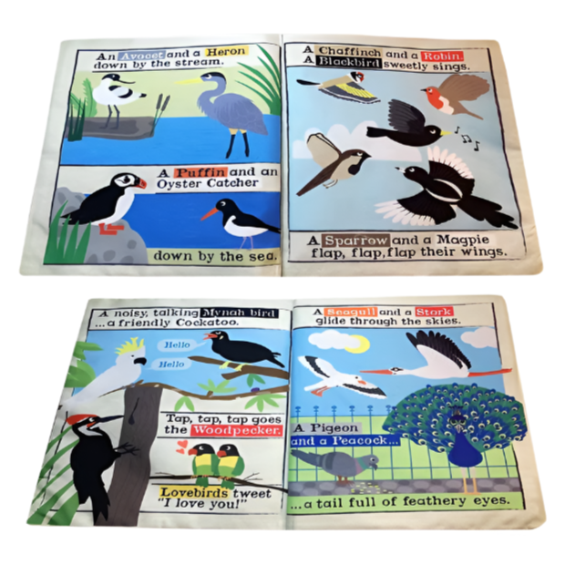 Crinkly Cloth Newspaper - All Sorts of Birds