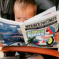 Crinkly Cloth Newspaper - All Sorts of Birds