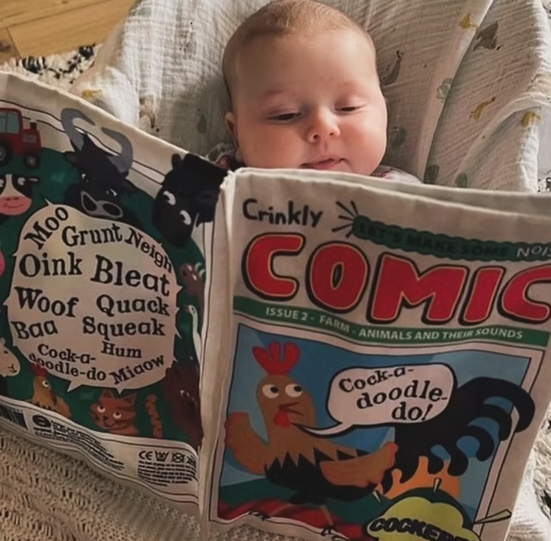Crinkly Cloth Newspaper - Comic issue Farm