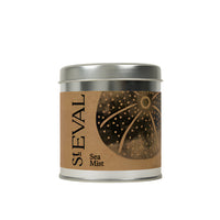 Sea Mist Scented Tin Candle