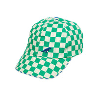 Dinosaur Check Cap - 3-6 Years