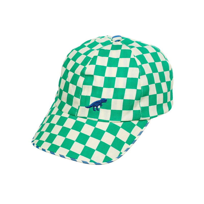 Dinosaur Check Cap - 3-6 Years