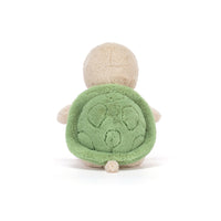 Thimble Turtle