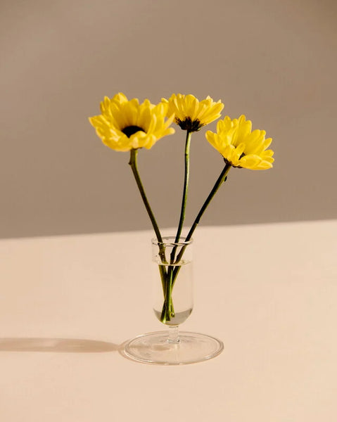 Tiny Bud Vase - Clear