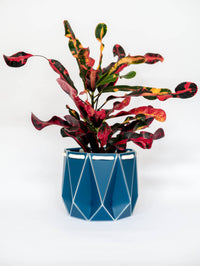 15cm Self-Watering Pot - Navy
