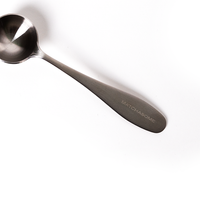 Stainless Steel Matchasome Spoon