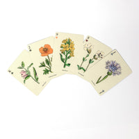 Playing Card Deck - Wildflowers