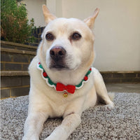 Crochet Christmas Dog Collar | Stocking Filler | Dog Gifts |
