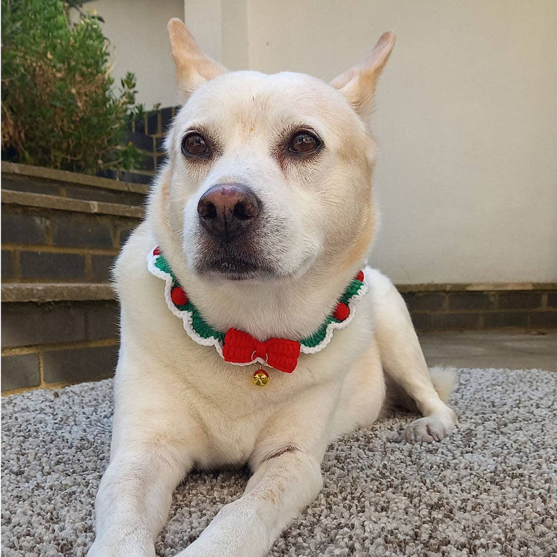 Crochet Christmas Dog Collar | Stocking Filler | Dog Gifts |