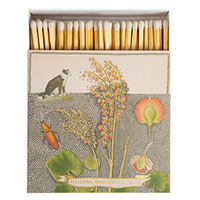 Chien Botanical Drawing Matches | Square Matchboxes