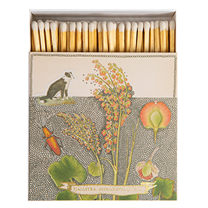 Chien Botanical Drawing Matches | Square Matchboxes