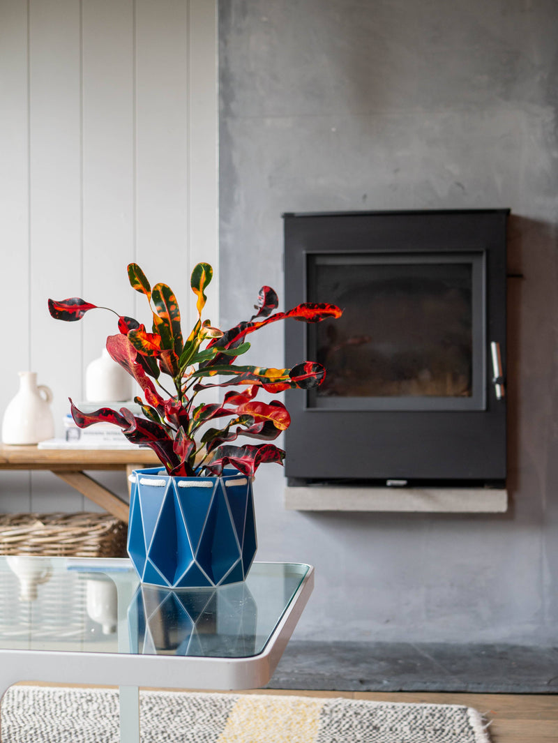 15cm Self-Watering Pot - Navy