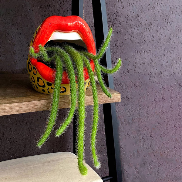 Leopard “Lips” Multipurpose Container