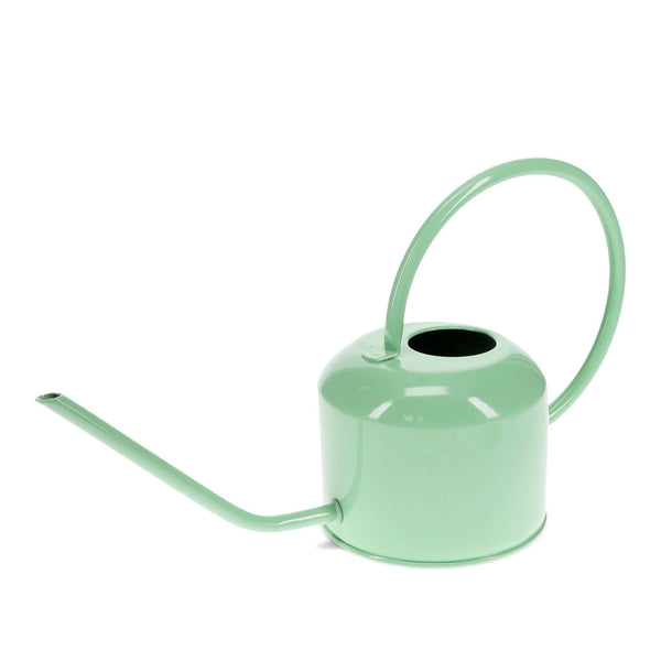 Pistachio Watering Can