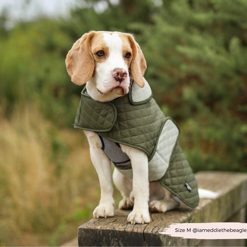 Luxe Quilted Dog Coat - Country Khaki - S