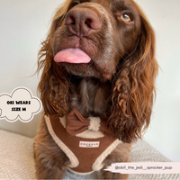 Brown Aviator Adjustable Neck Harness - XS