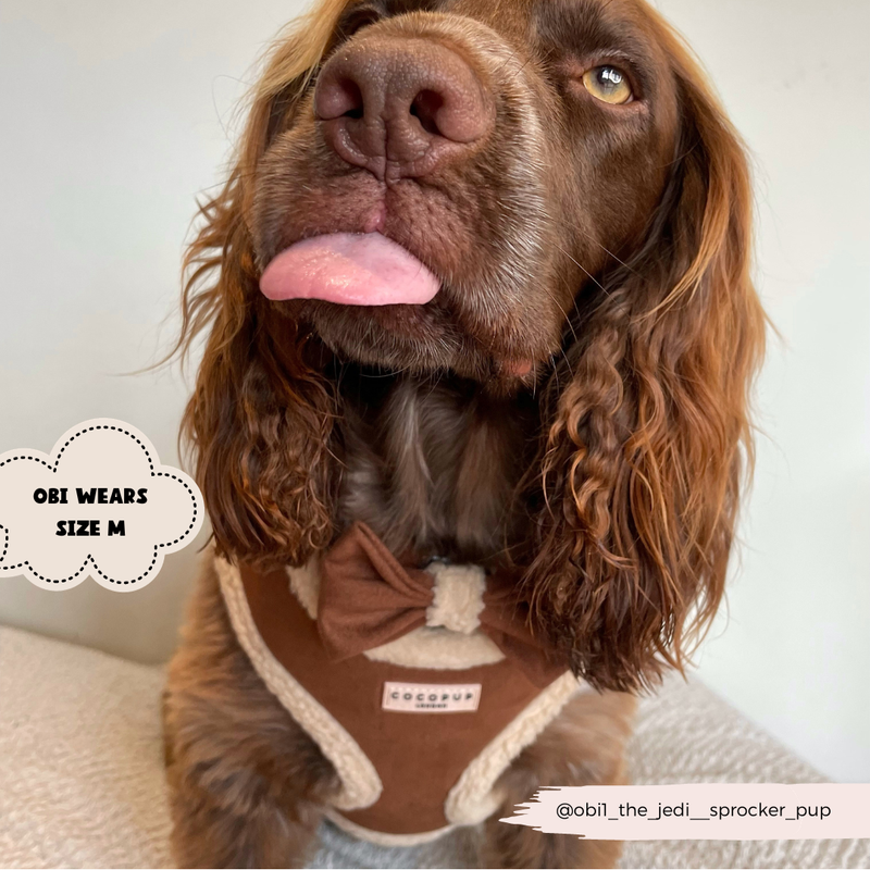 Brown Aviator Adjustable Dog Harness - S