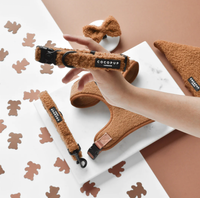 Teddy Collar - Paddington - M