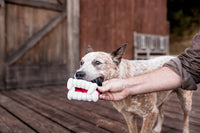 Howling Haunts Barky's Bite Dog Toy