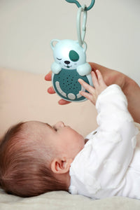 Cloud B Sweet Dreamz Travel Night Light & Sound Dog
