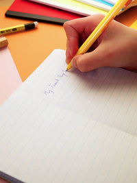 Odd Notes Dino Pocket Notebook: Rex (Lined)